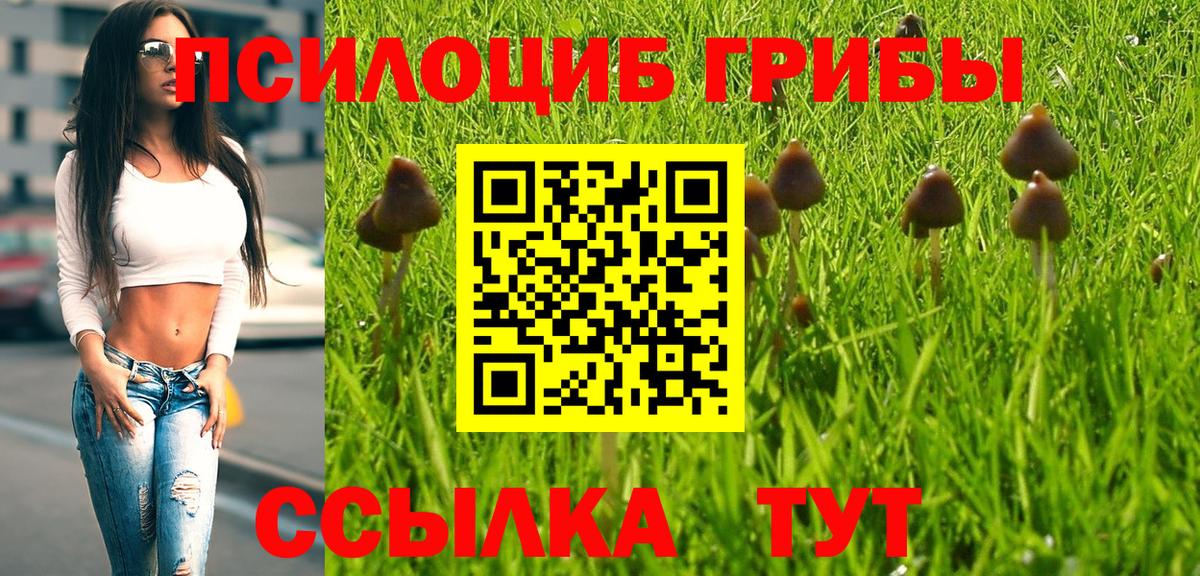 Галлюциногенные грибы прущие грибы  Псилоцибиновые грибы прущие грибы  Алейск  Вход с VPN 