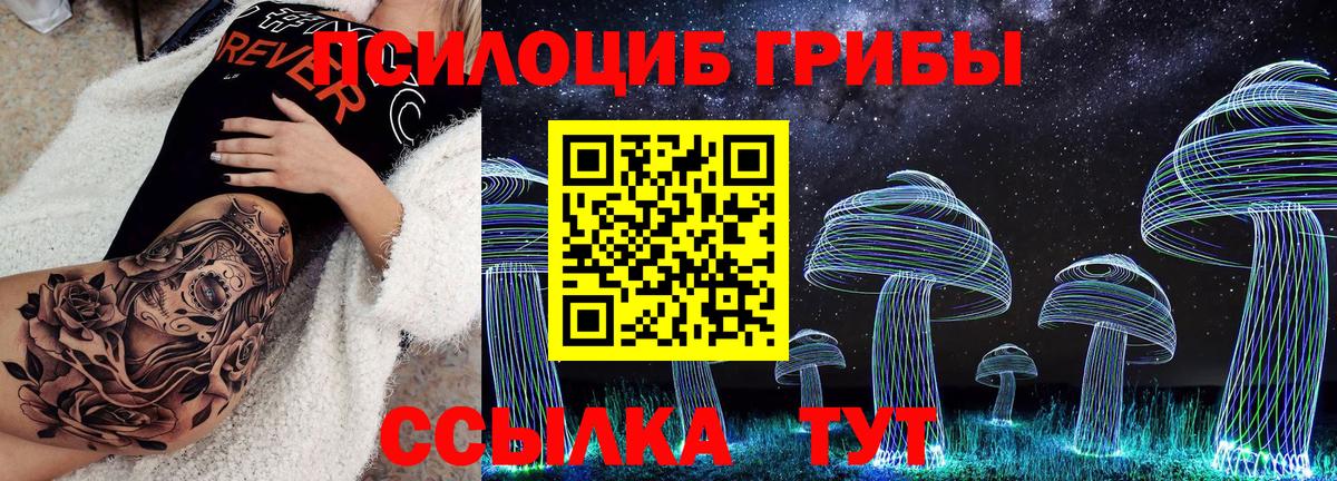 Псилоцибиновые грибы Cubensis Алейск